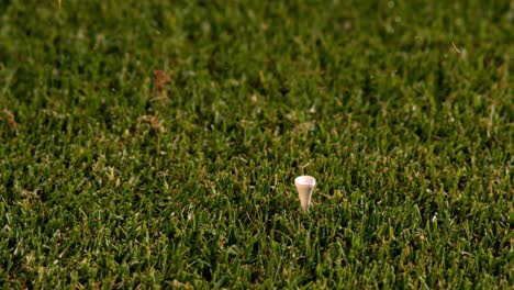 Golfschläger-Schlägt-Ball-Vom-Abschlag