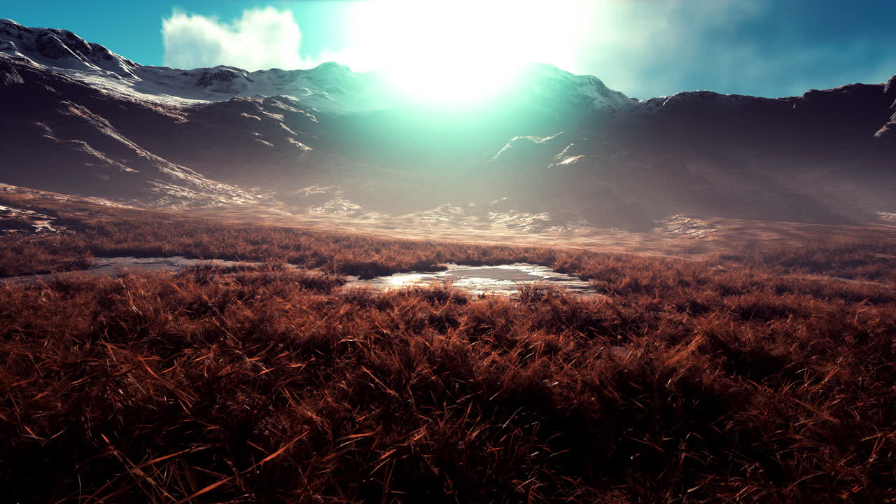 네팔의 밝은 하늘 아래 풀과 모스로  ⁇ 인 돌