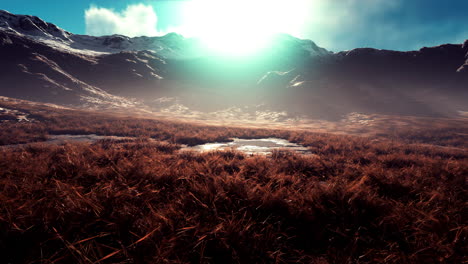 stones covered with grass and moss under bright sky of nepal