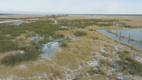 vista aérea de gran cormorán vacío, día soleado de invierno, árboles muertos, río barta, amplio tiro de drones avanzando