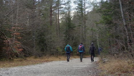 group of hikers on a forest trail