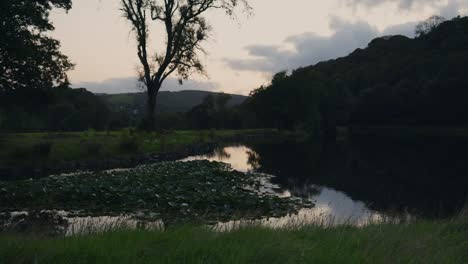 Zeitraffer-Am-Abendlichen-Teich-Mit-Der-Spiegelung-Im-Wasser