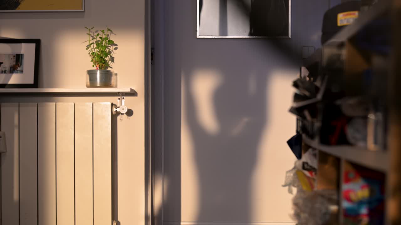 Golden-hour sunlight streams into a home, creating a stark shadow of a person working out. The silhouette lifts dumbbells, an anonymous and intimate scene of a private fitness session