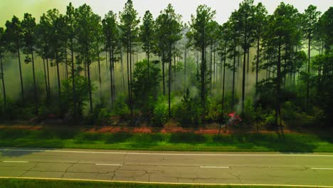 smoke and flames rising from active wildfire in american pine forest