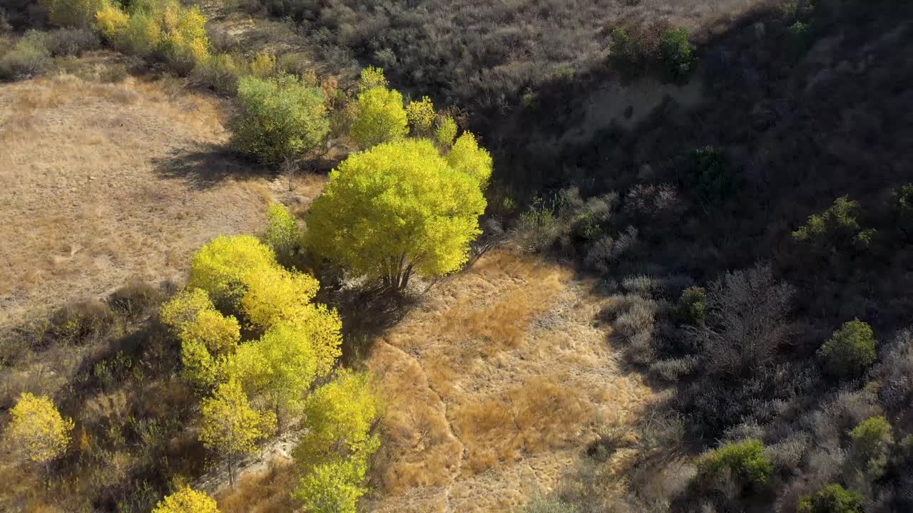 pico canyon, california y sus colores otoñales
