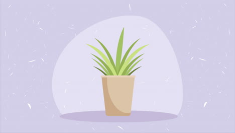 houseplant in beige pot animation