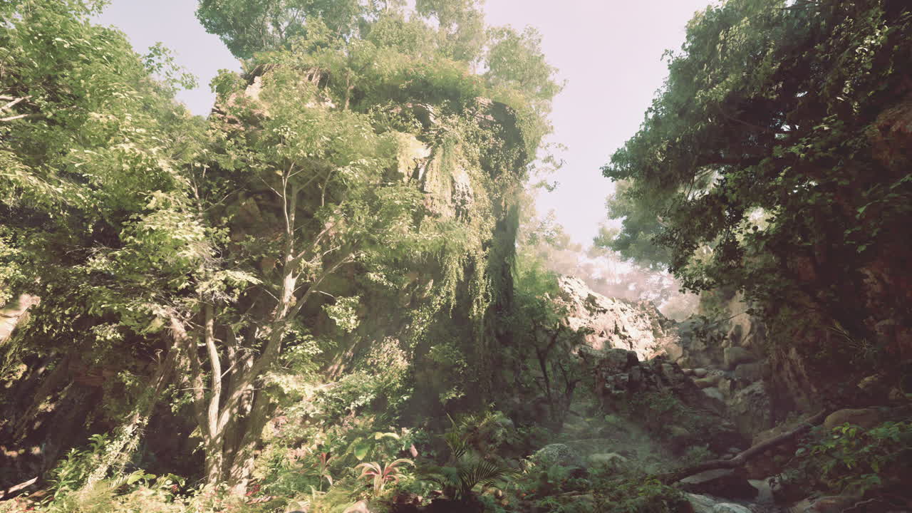 la luz del sol fluye a través de un bosque exuberante