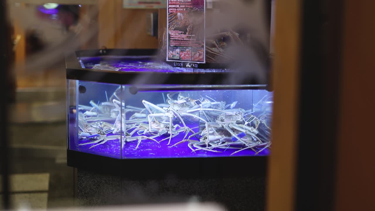 persona observa una exhibición de luz ultravioleta brillante