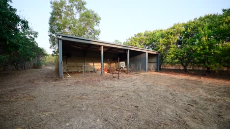 a rural shed at sunset, with surrounding greenery and a peaceful countryside backdrop