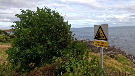 señal de precaución cerca del mar y la vegetación