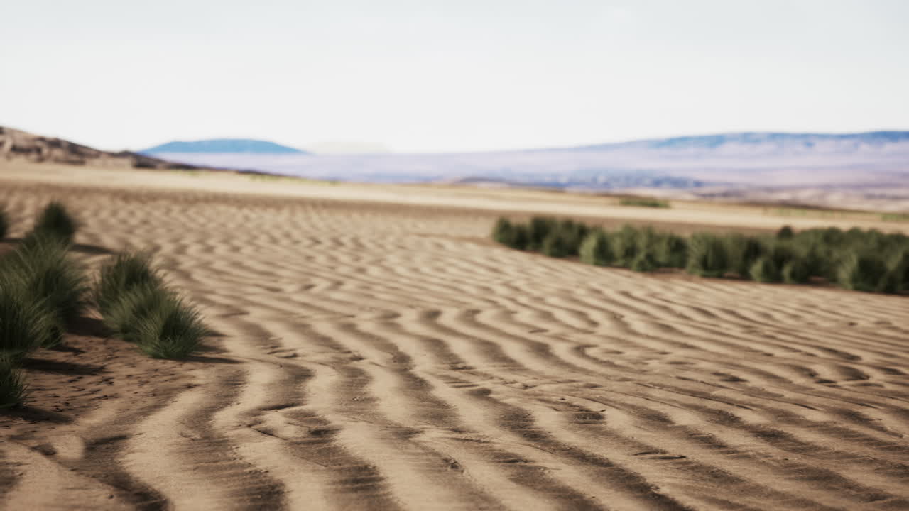 hermosa duna de arena naranja amarilla en el desierto de asia central