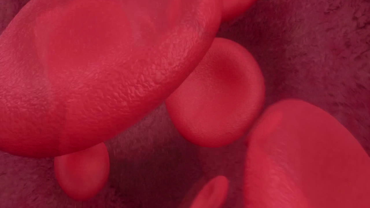 antecedentes médicos de glóbulos rojos que fluyen en una arteria, que se mueven en el flujo sanguíneo en la vena