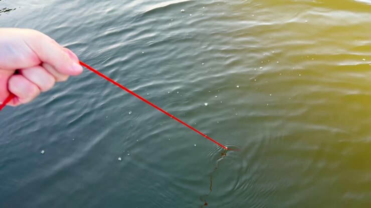 Fishing activity on Gold Coast waters