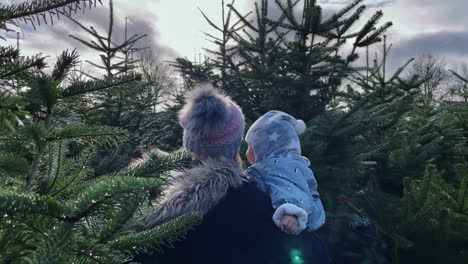 backward movement shot a mother her child looking around trying to choose a christmas tree for their house on a cloudy day