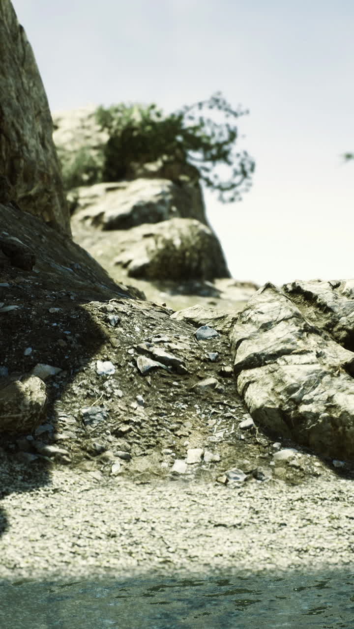 Coastal landscape with rocks and vegetation near calm water on sunny day