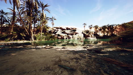 un oasis sereno en el desierto