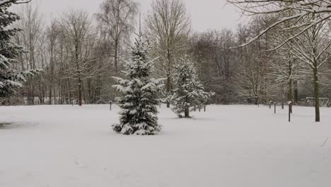 Shot-of-heavy-snowing-caused-by-lake-effect