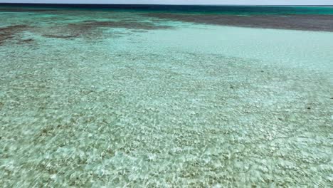 crystal-clear waters and vibrant coral reef in the shallow depths of the philippines