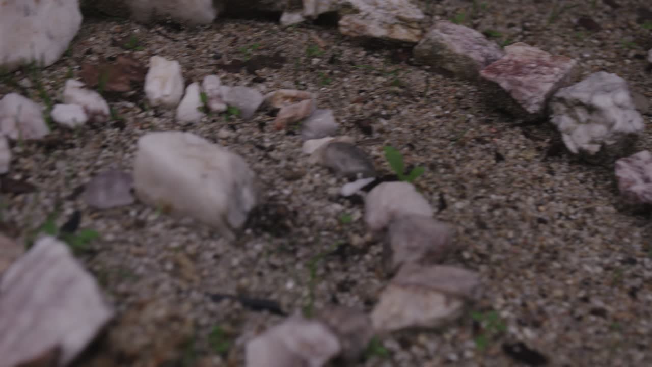 정원에서 돌 원의 중간