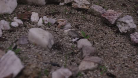 mid shot of stone circles in garden