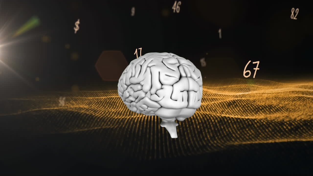 animación del cerebro humano y procesamiento de números