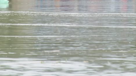 devastating flood submerges homes and property