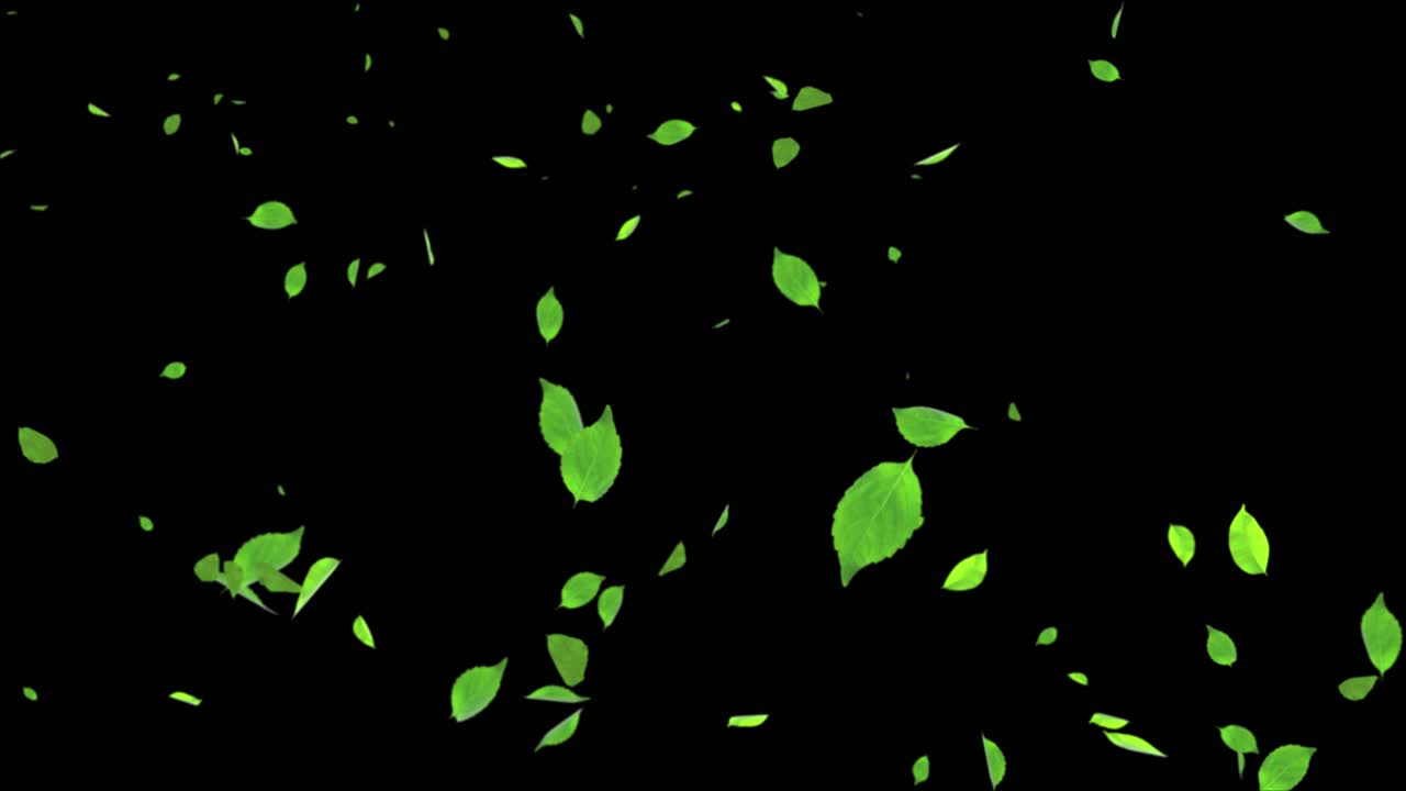 4k abstract slow motion leaves falling realistic 3d loop animation dropped leaf floating down spring