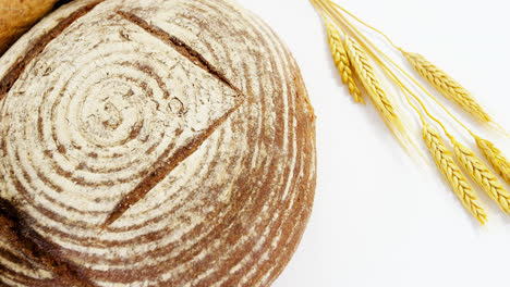 Various-types-of-breads-with-wheat-grains