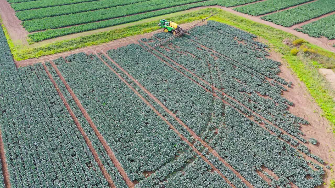 Crop spraying process of insecticides, pesticides, fungicides and other preventative treatments onto crops in a field of broccoli and cabbages, Aerial footage, rural farming in the UK