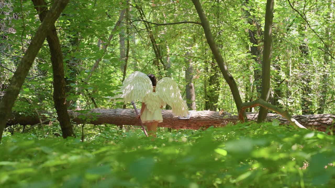 White fairy creature with soft wings stands near fallen tree surrounded by lush forest, turning slowly while observing peaceful green landscape filled with sunlight