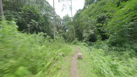 fpv drone disparó sobre un sendero en el bosque hasta la cascada oculta de ubud en bali