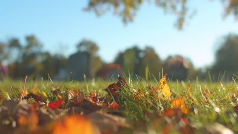 Toma-De-Un-Cementerio-Bien-Mantenido-Durante-Una-Tarde-Tranquila-En-El-Otoño