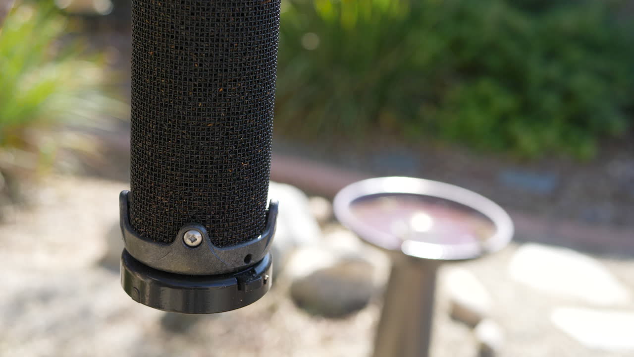 작은 금방울새가 새 모이통에서 씨앗을 먹은 다음 느린 동작으로 날아가 새욕조에서 물을 마신다