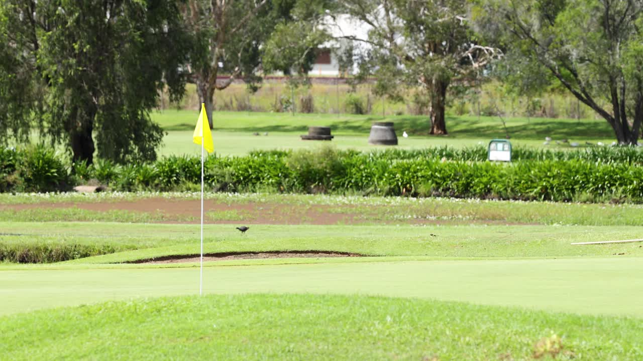 바람에 흔들리는 골프장 발