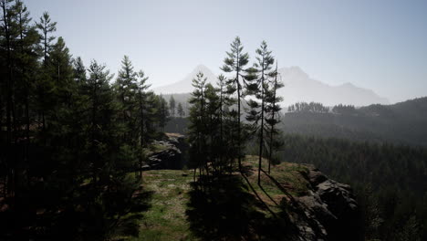 Paisaje-De-Bosque-De-Montaña-Brumoso-En-La-Mañana