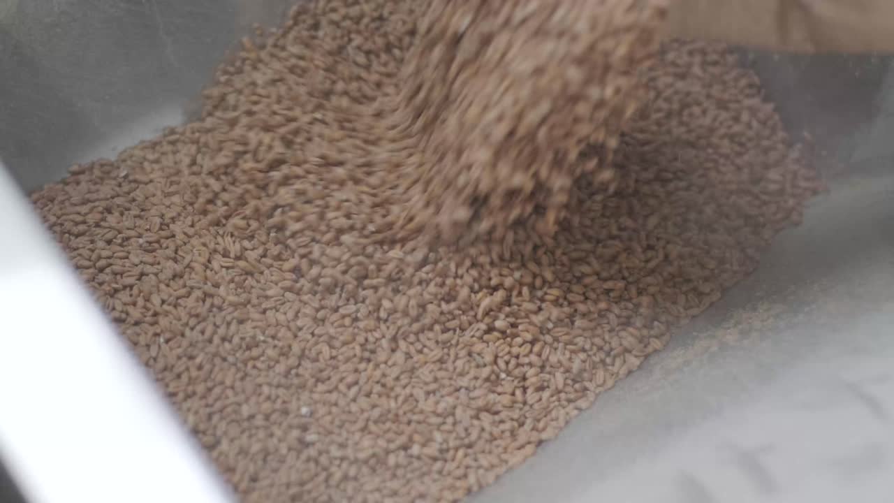 현대적 인 공예 맥주 양조장. 맥주 생산을 위한 몰트. 공예 맥주의 양조. 양조장에서의 현대적인 장비.