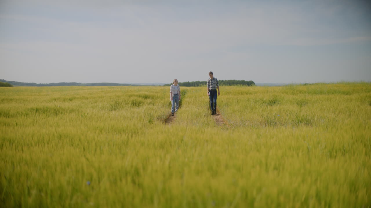 밀 을 가로질러 고 있는 농부 들
