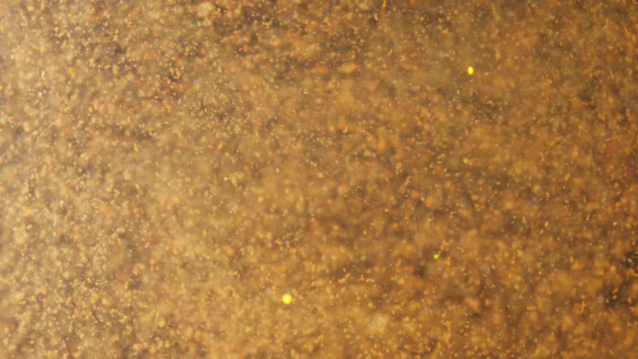 pequeños organismos, cámara lenta, formas creativas, patrones líquidos húmedos