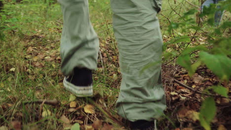 legs of walking travelers close-up in forest. tourists in forest. active lifestyle