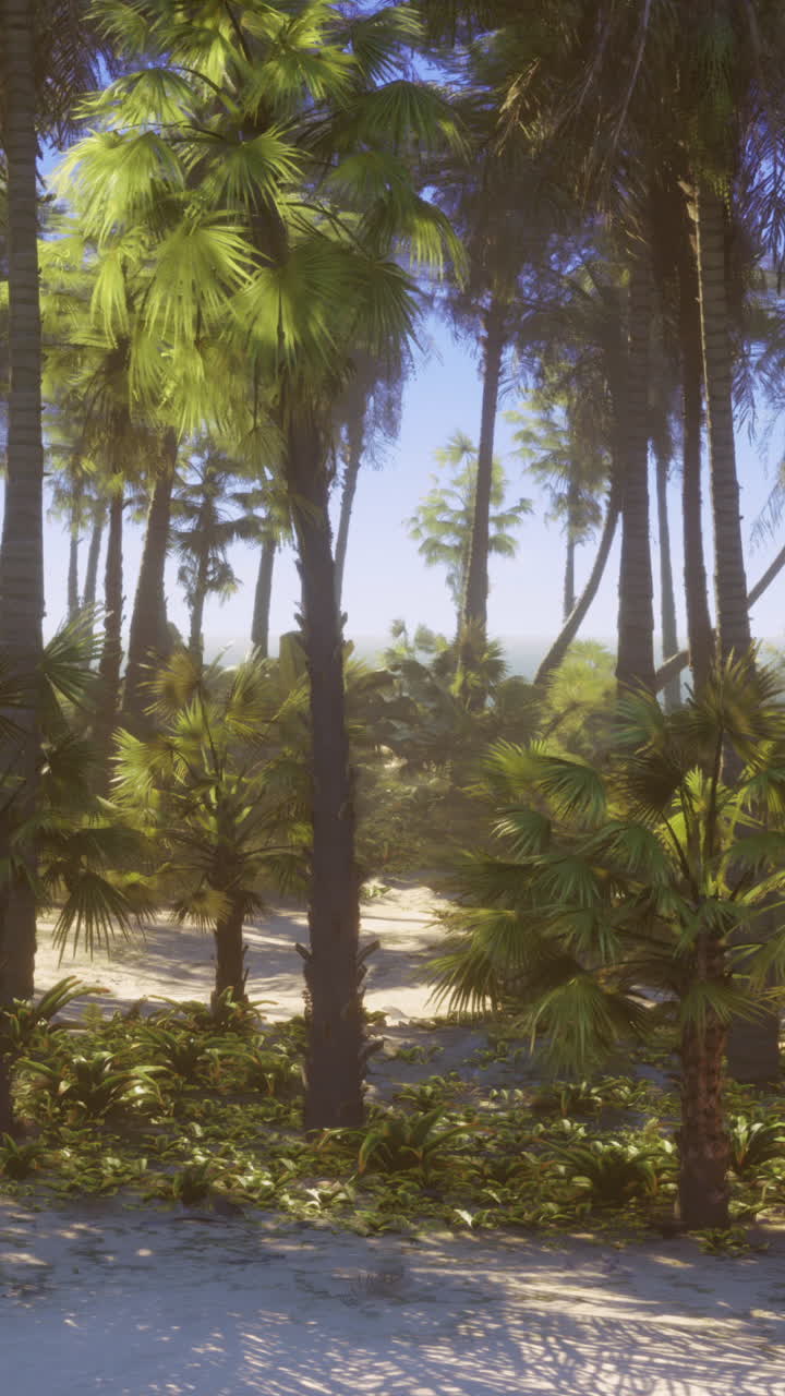 열대 천국 풍경