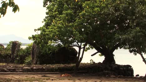 sacred place of taputapuatea marae, raiatea, society islands, french polynesia