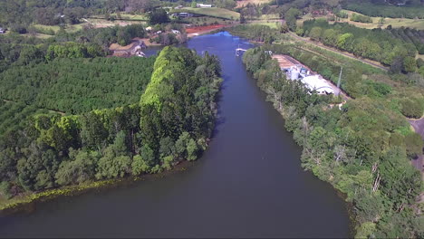 tomada aérea de un dron de una gran granja de macadamia y tierras agrícolas australianas en byron bay nsw