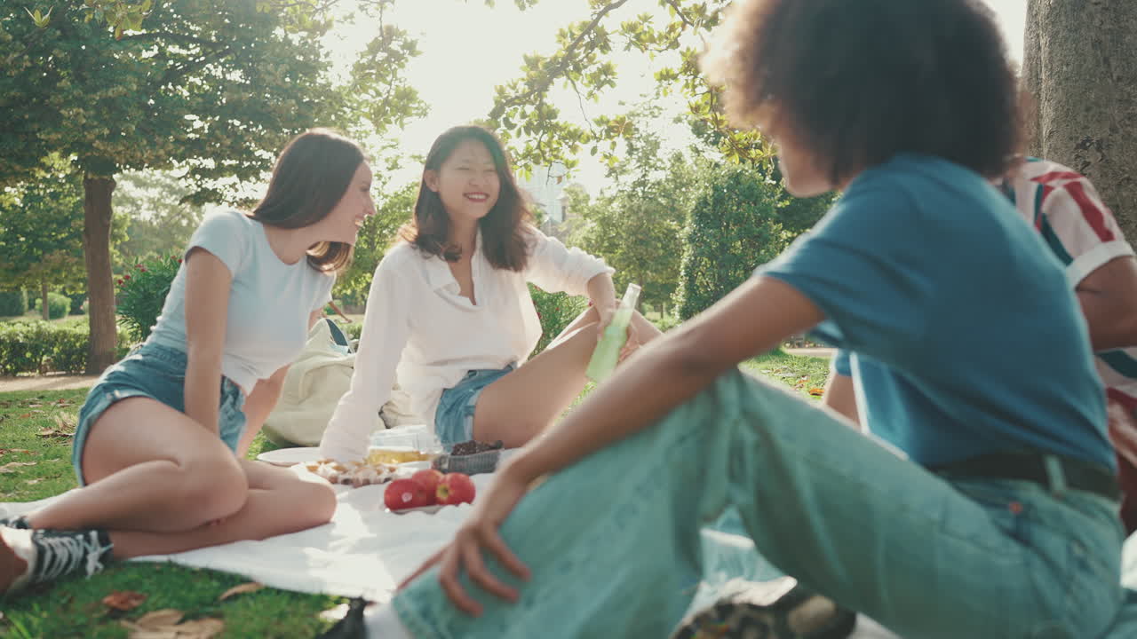 친구 들 이 공원 에서 피크닉 을 즐기고 있다