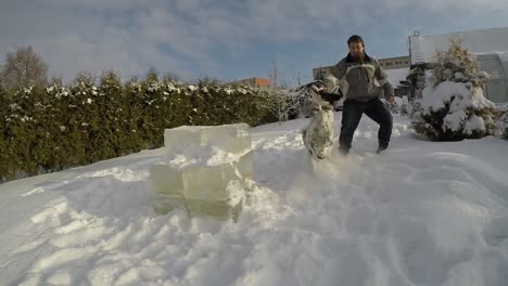 perro blanco manchado con negro alrededor del ojo jugando con el dueño en la nieve-1