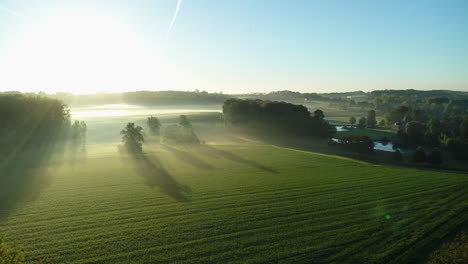 aéreo: amanecer sobre un campo brumoso en una hermosa mañana