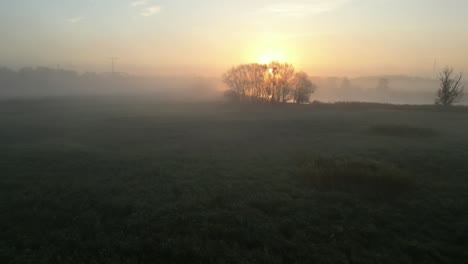 sunrise over a foggy field with trees silhouetted against the morning light