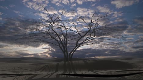 lonely tree in a desert landscape