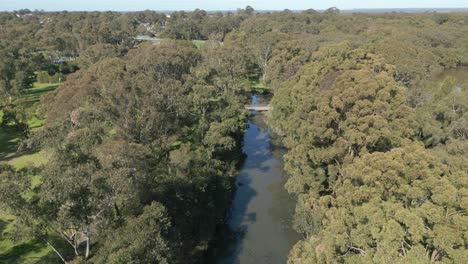 toma aérea de establecimiento de un pequeño canal fluvial o arroyo en un humedal y bosque en un parque nacional en el oeste de sydney