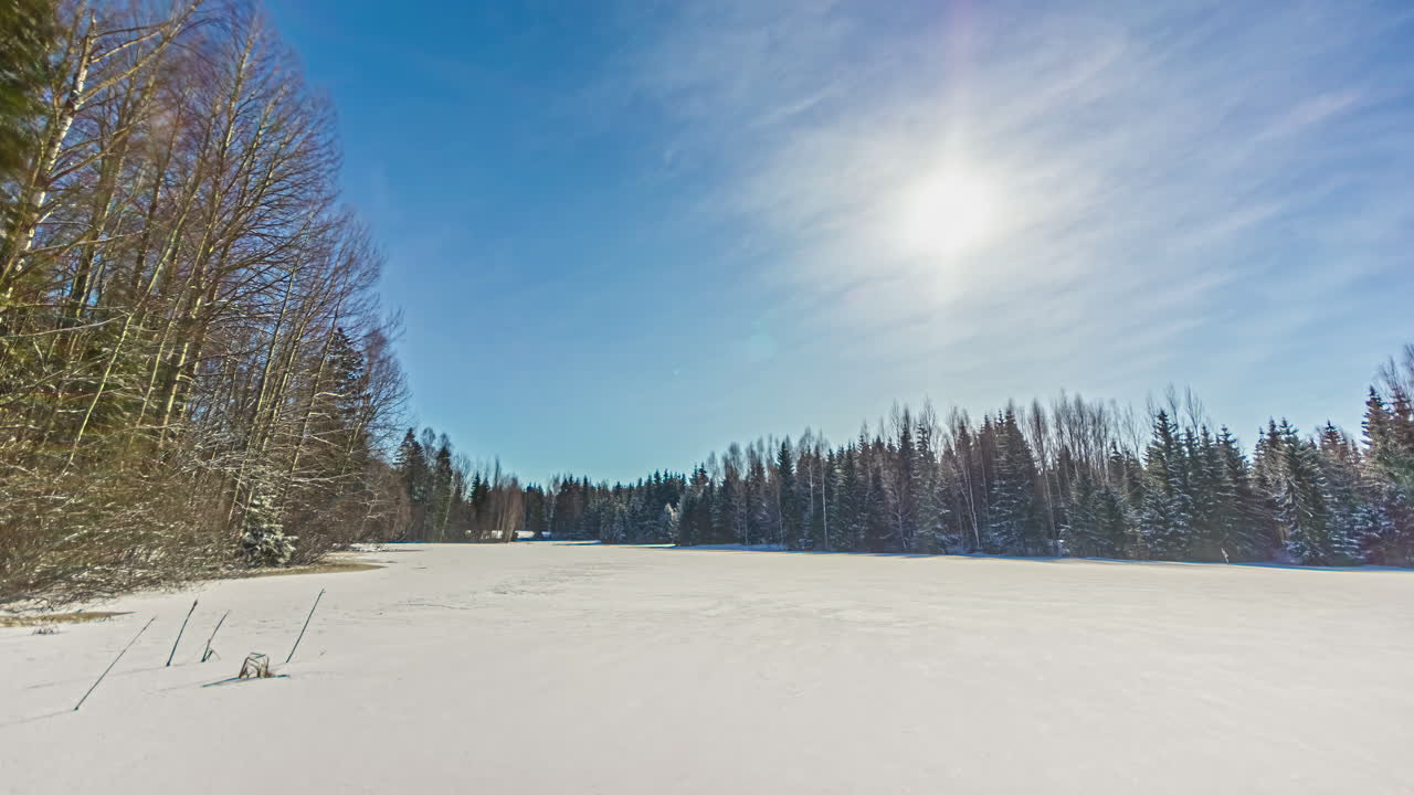 겨울철 눈 덮힌 숲 위로 떠오르는 태양
