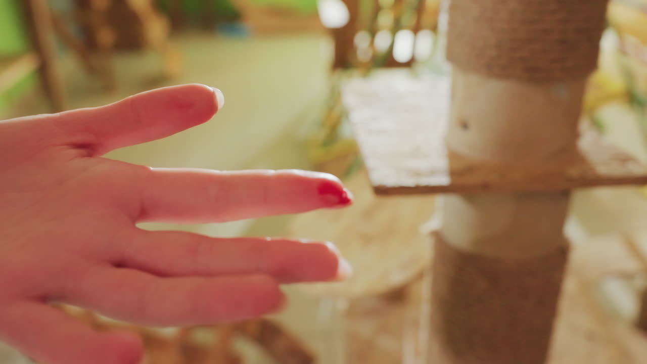 hand reaching toward cat scratcher inside cozy home, soft morning light highlights maroon sleeve and red nail polish sisal post and wicker furniture create warm texture, closeup motion shows delicate